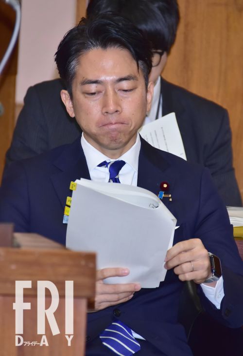 🍇日媒惊爆:巨额补贴下的“假象甜蜜”!