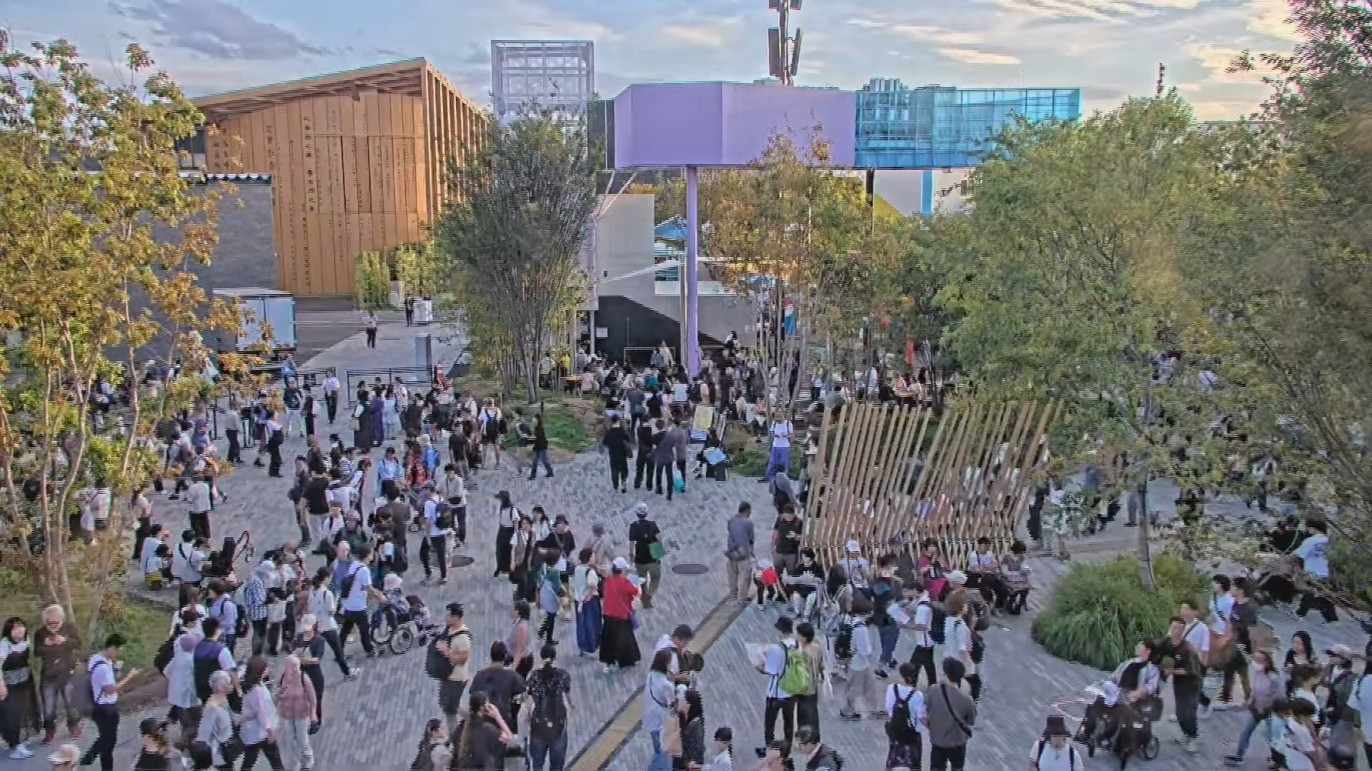 🔥万博爆火！一周内人气登顶，全是它！