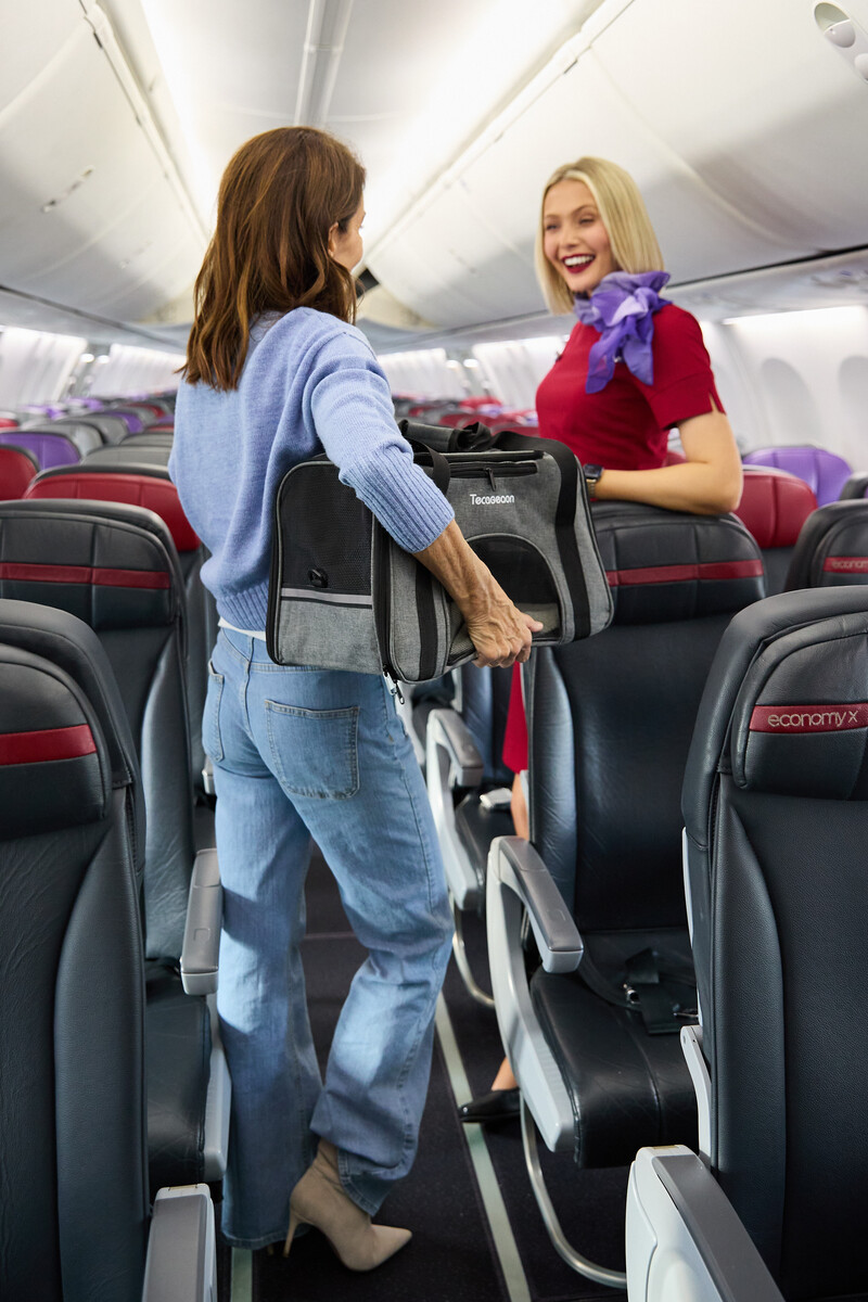 🎉处女座也能带宠物了!先开通两条线,明年全覆盖!