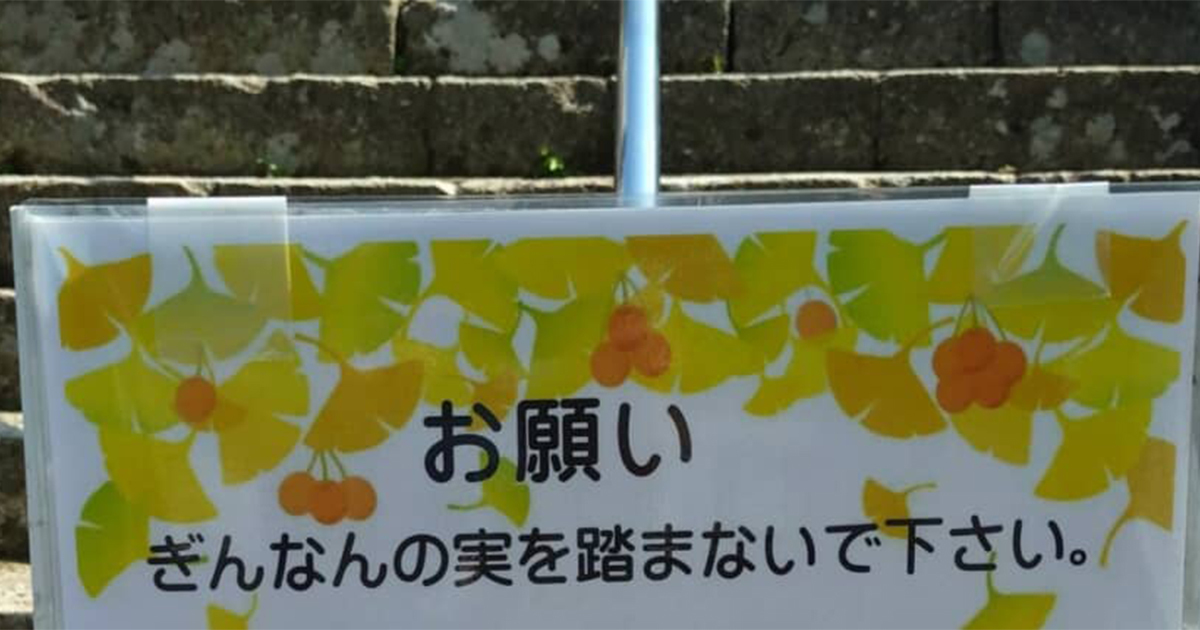 ⚠️别踩银杏!→ 细看却是“黑人问号脸”,485万点赞!