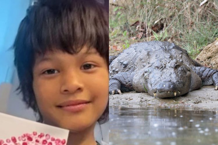 ⚠️ 12岁男孩遇鳄，背后的虐待真相更惊人！