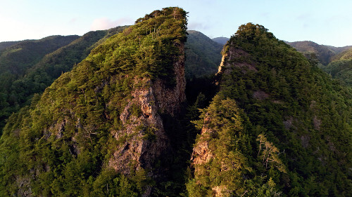 🇰🇷🇯🇵韩国单方面祭奠金山，日本：我们没话说！