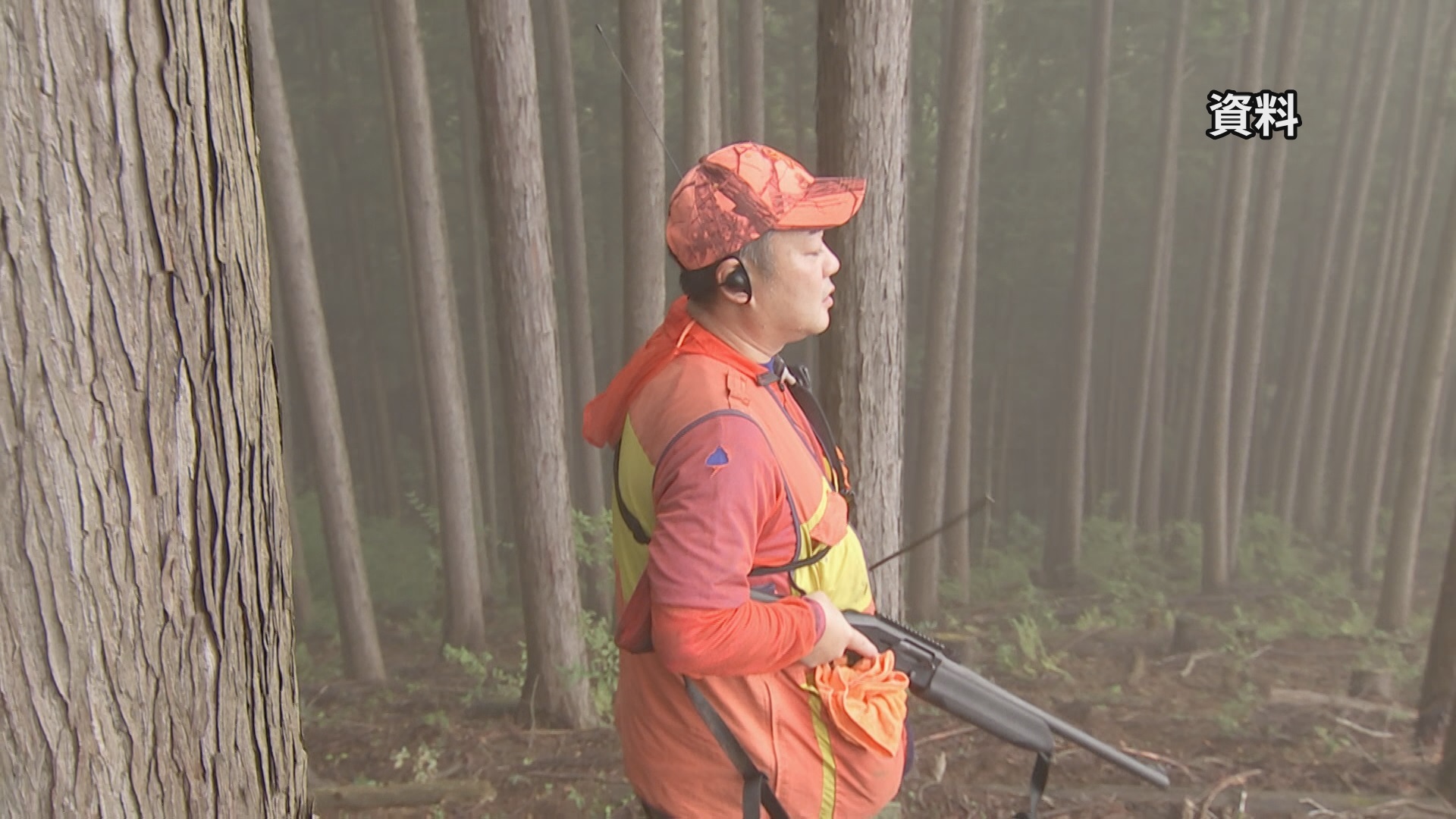 ⚠️熊来了！花钱请猎人，保命要紧！