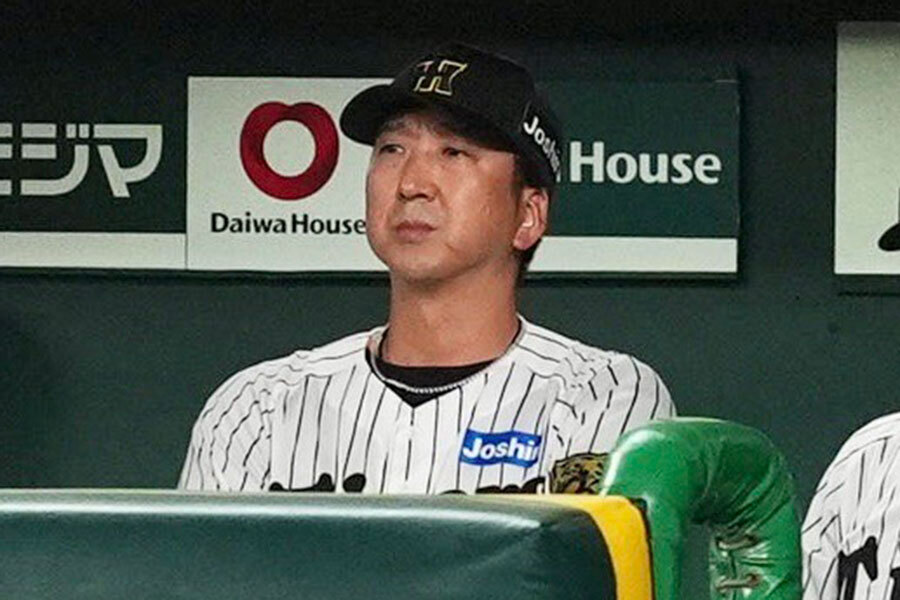 🎉阪神喜讯！惊喜官宣，球迷沸腾了！