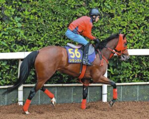 👑皇室加持！黑马逆袭，秋天天皇杯燃爆！🔥 封面