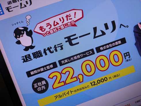 💥辞职代办乱象：律师会发声，小心被坑！