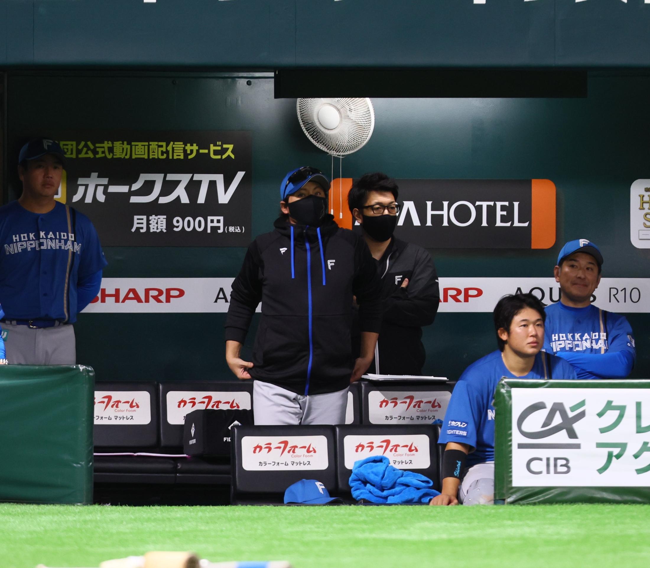 💥新庄教练：取消费我来掏！明年冠军是我们的！