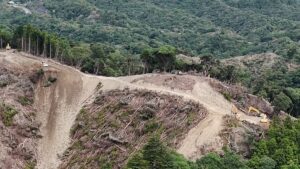 💡终于等来希望！ 鸭川巨型太阳能电站告急！ 封面