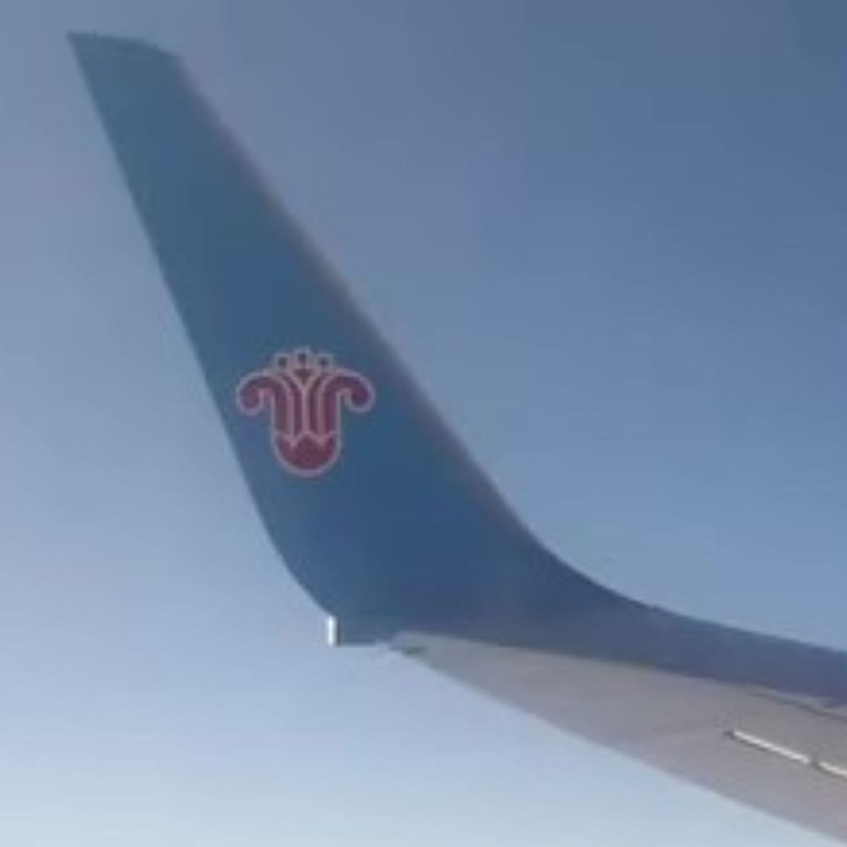 😱空姐叫醒我:“看窗外!” 结果…美到窒息!