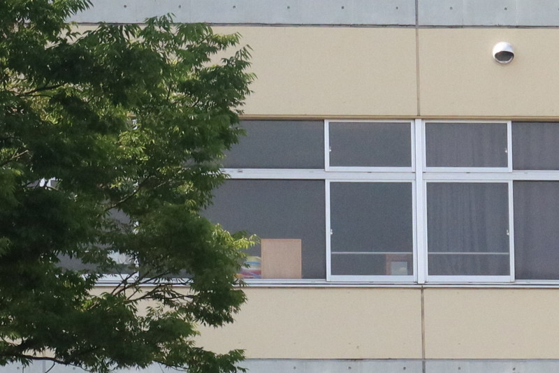 🚨托业作弊团伙落网！竟有人考试时偷用手机？