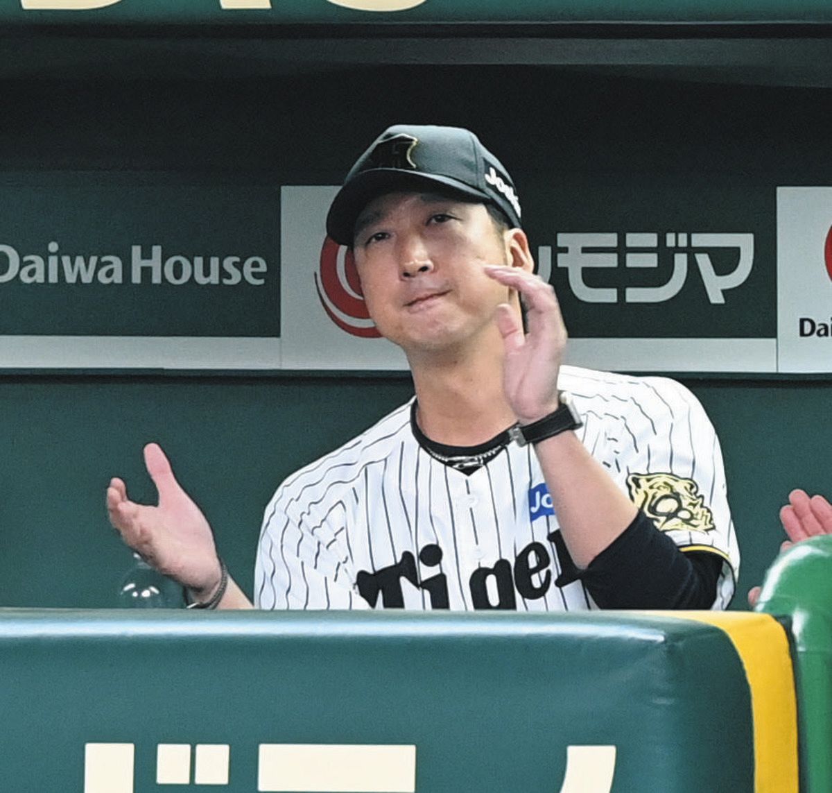 🔥神仙阵容！阪神狂扫11分，3连胜进军日本大赛！