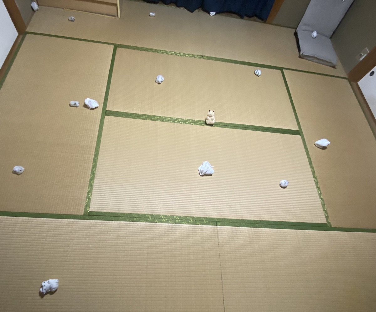 🐹神反转!你确定这堆东西里没有仓鼠?