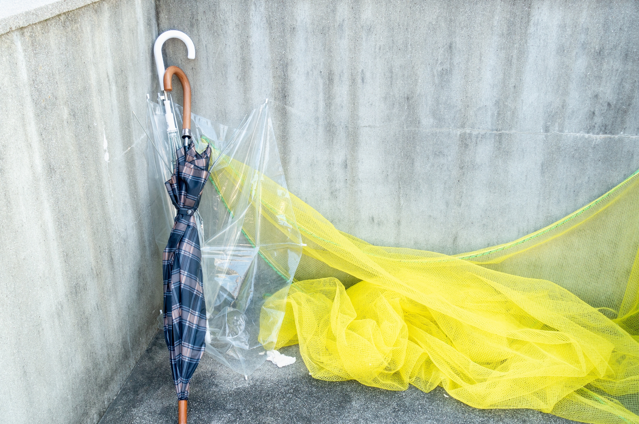 ☔️ 扔破旧雨伞？小心被罚！垃圾分类达人教你正确处理！