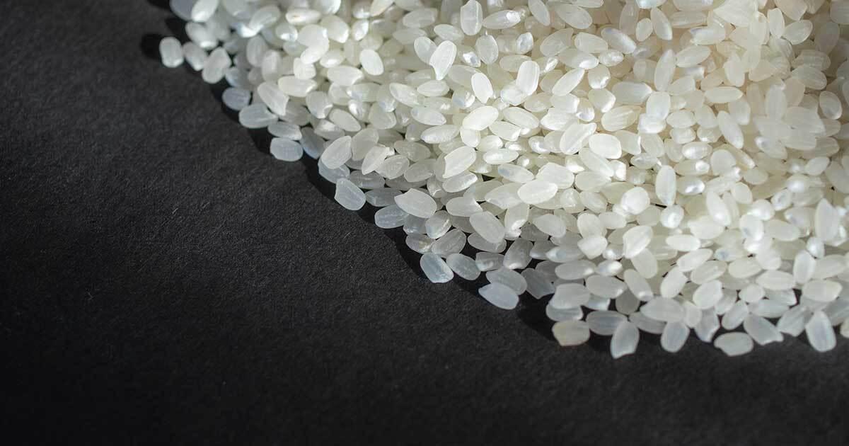 🍚别再“米”富不均了！高市总理，降降价吧！