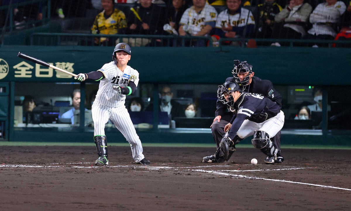 ⚾️高寺:这球…故意不打?!球迷都懵了!