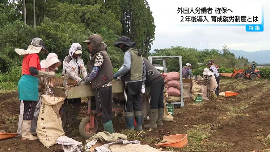 💥技能实习生大解放!人才流失,谁来填补空缺?