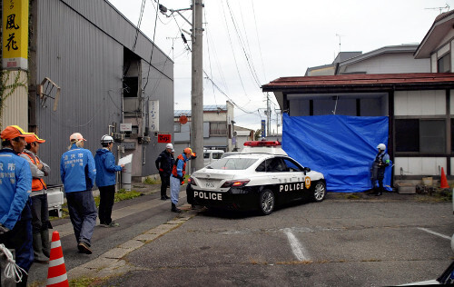 🚨熊出没！小镇突袭，四人受伤，简直不敢相信！