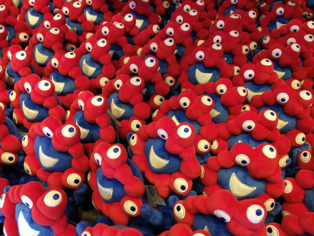 💥缅因猫狂潮持续！百货抢售，寿司店也追风！