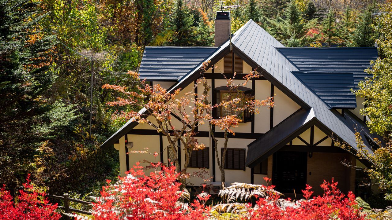 🏠️ 逃离“世外桃源”，百万身家老夫妻回京！