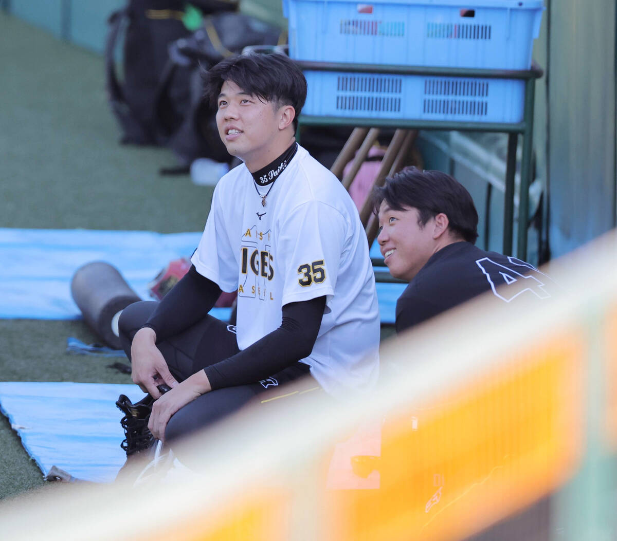 ⚾️ 梦想破灭！阪神才木，放弃大联盟挑战？