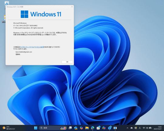 💥蓝屏死机?别慌!Windows 11帮你揪出内存问题!