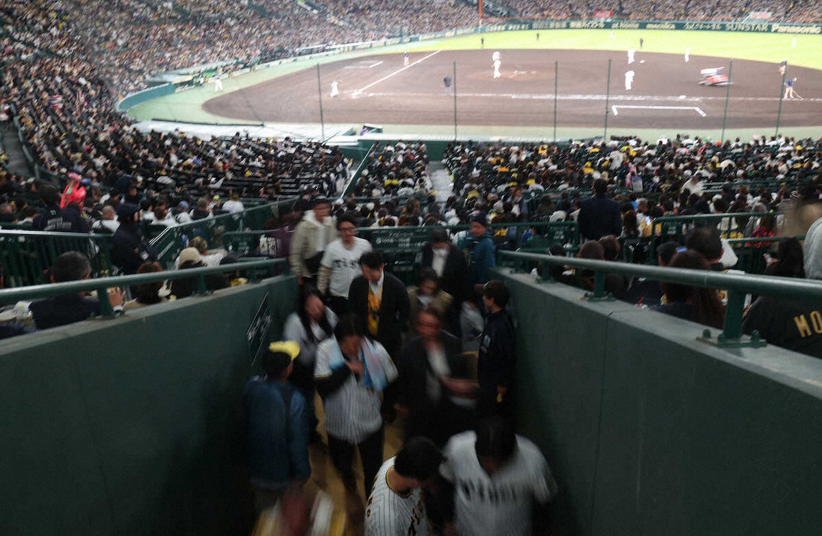 💥阪神三连败！球迷心碎，噩梦重现！