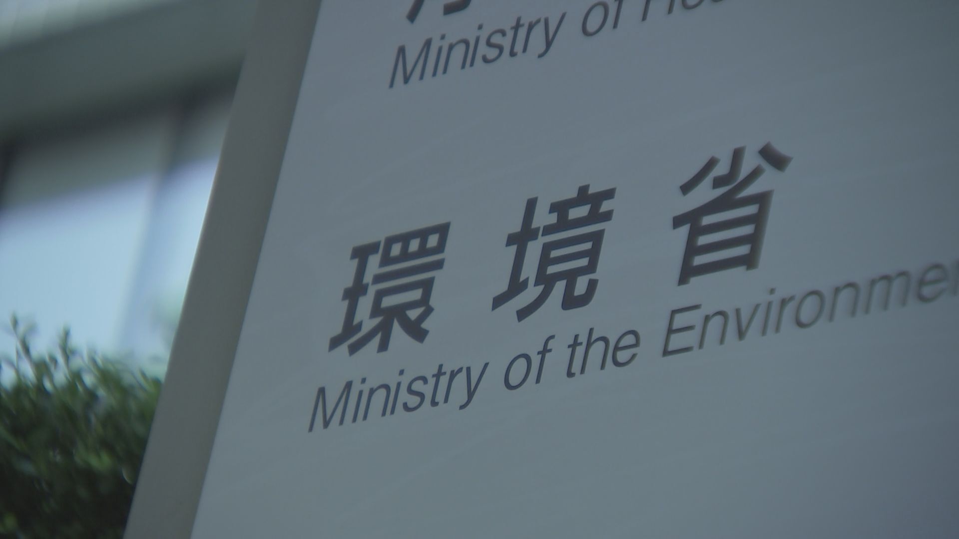 ⚠️熊出没！12人遇难，创历史新高！😱