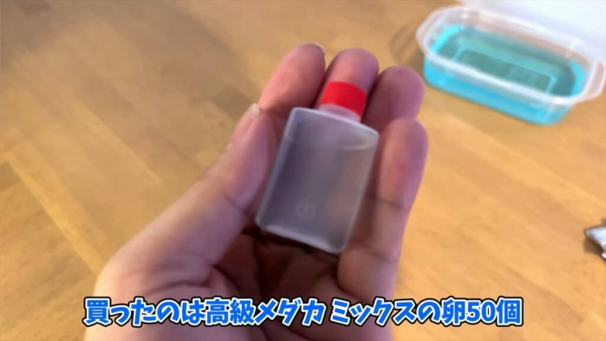 💥哇!网拍的“高级鱼卵”孵化后…这冲击力也太惊人了!
