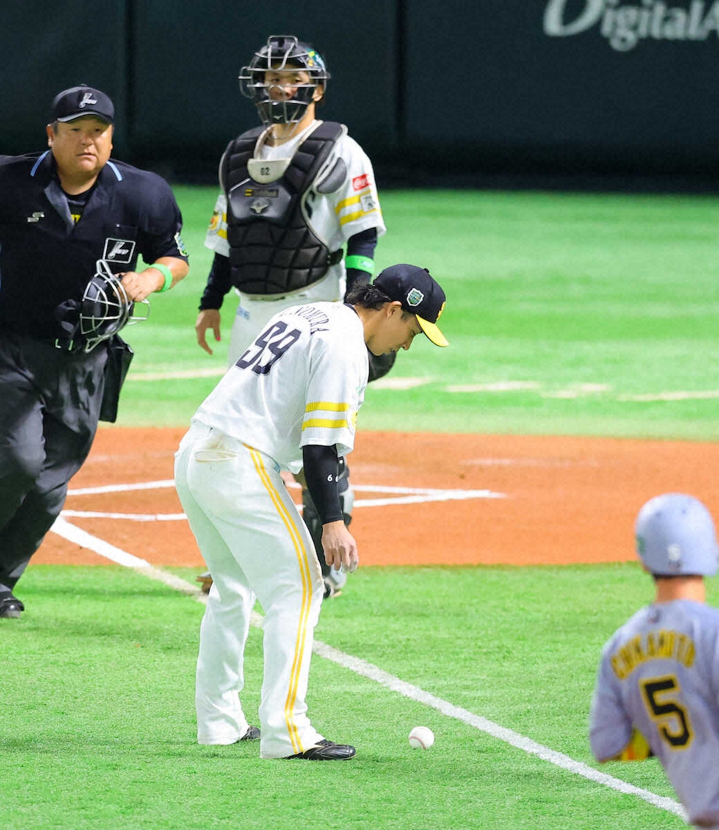 🔥阪神绝杀!一棒神仙,盗垒助攻,逆转了!