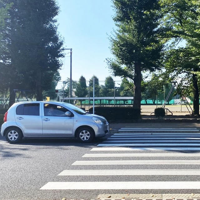 🚦车让人停?真相扎心!行人优先,法不言之?