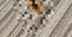 😱裤裆里的恐怖！图书馆惊现蠕动异物…简直无法忍受！ 封面