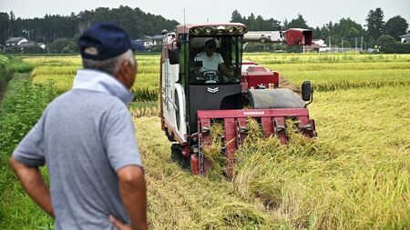 🍚米价何时能降?被“保护”太多的农民,问题出在哪!