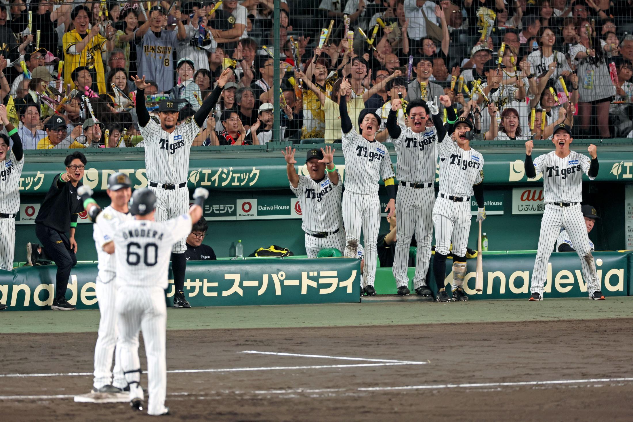 🔥阪神夺冠在望！神级跑垒引爆胜利，燃爆全场！
