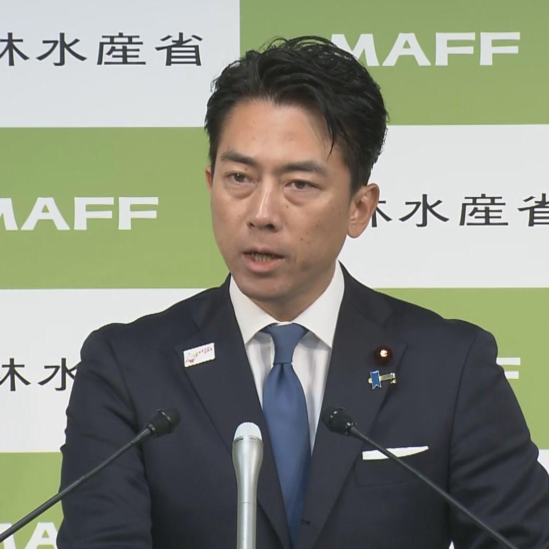 💥自民党内幕：幕后操盘手竟是他们！