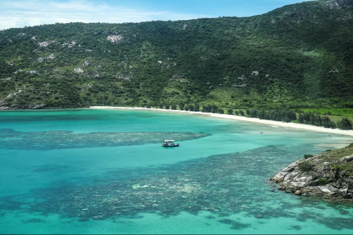 🚢 孤岛惊魂!8旬老妇邮轮遇险身亡!