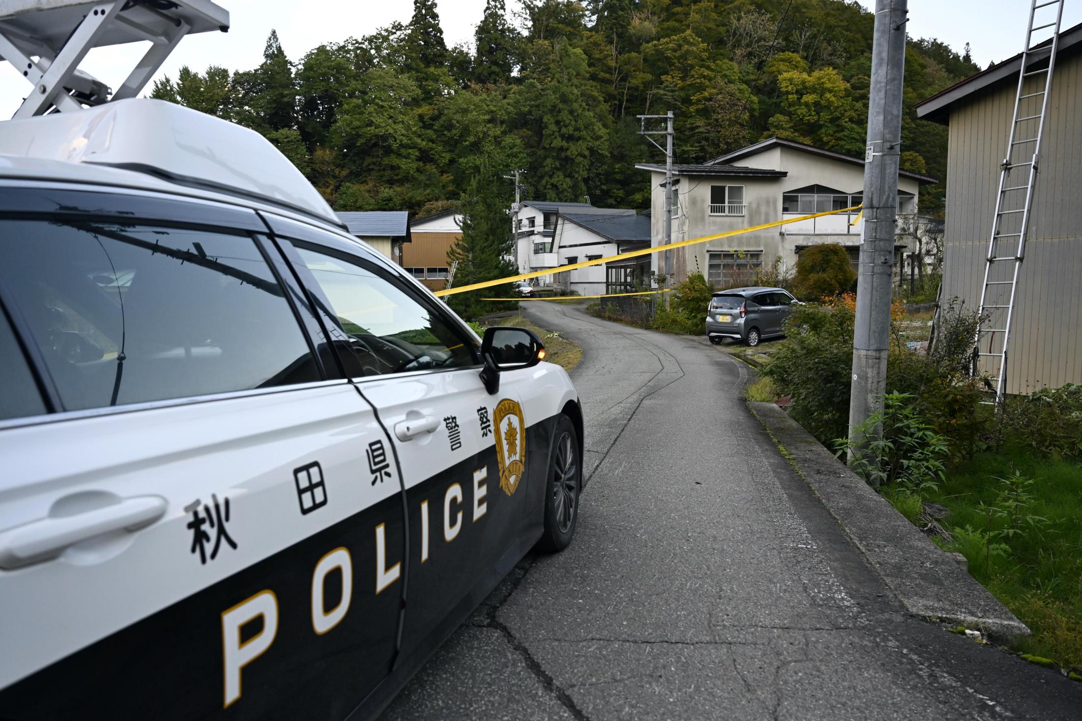 🚨熊袭人！“从未见过！”秋田枪声，居民吓坏了！