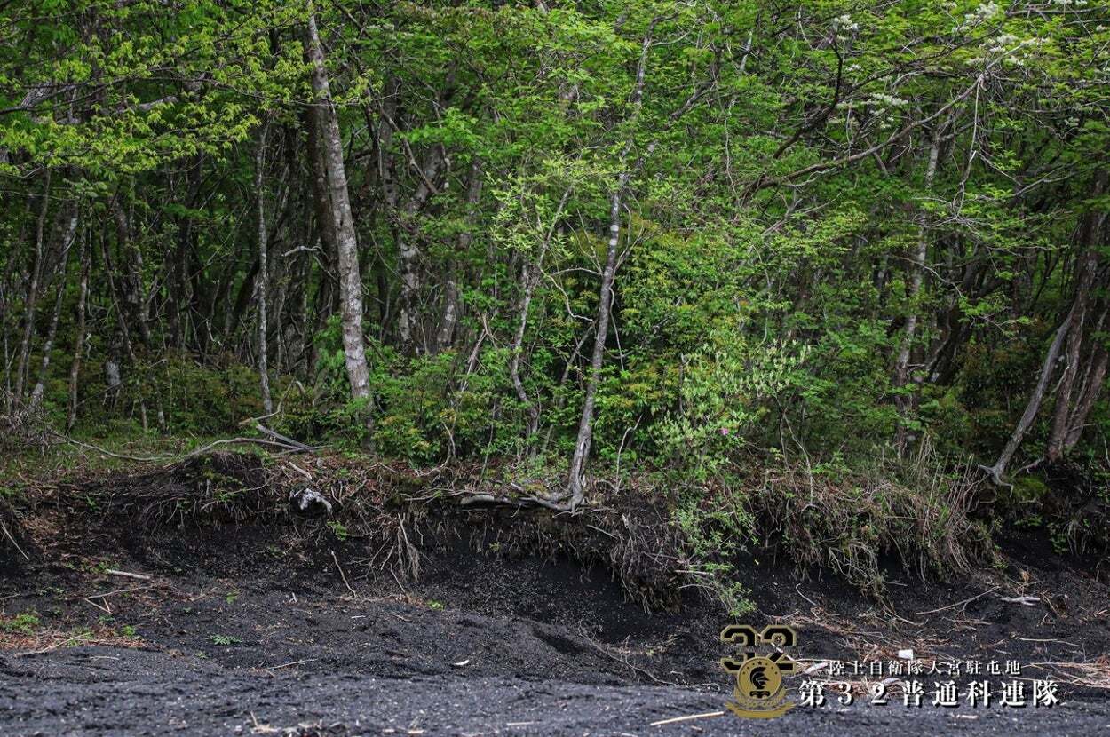 🌲自卫队迷彩大挑战!你能找亮点吗?😱