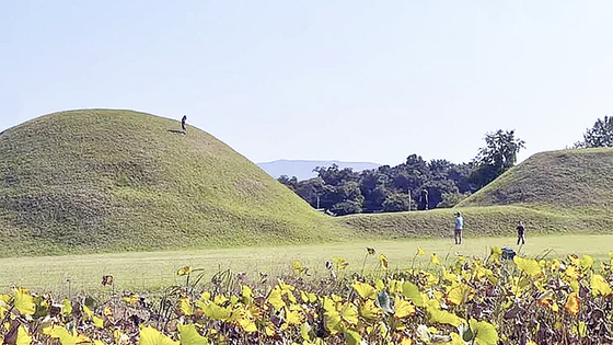 🤦‍♀️韩国庆州：游客野蛮行为，国人脸都丢尽了！
