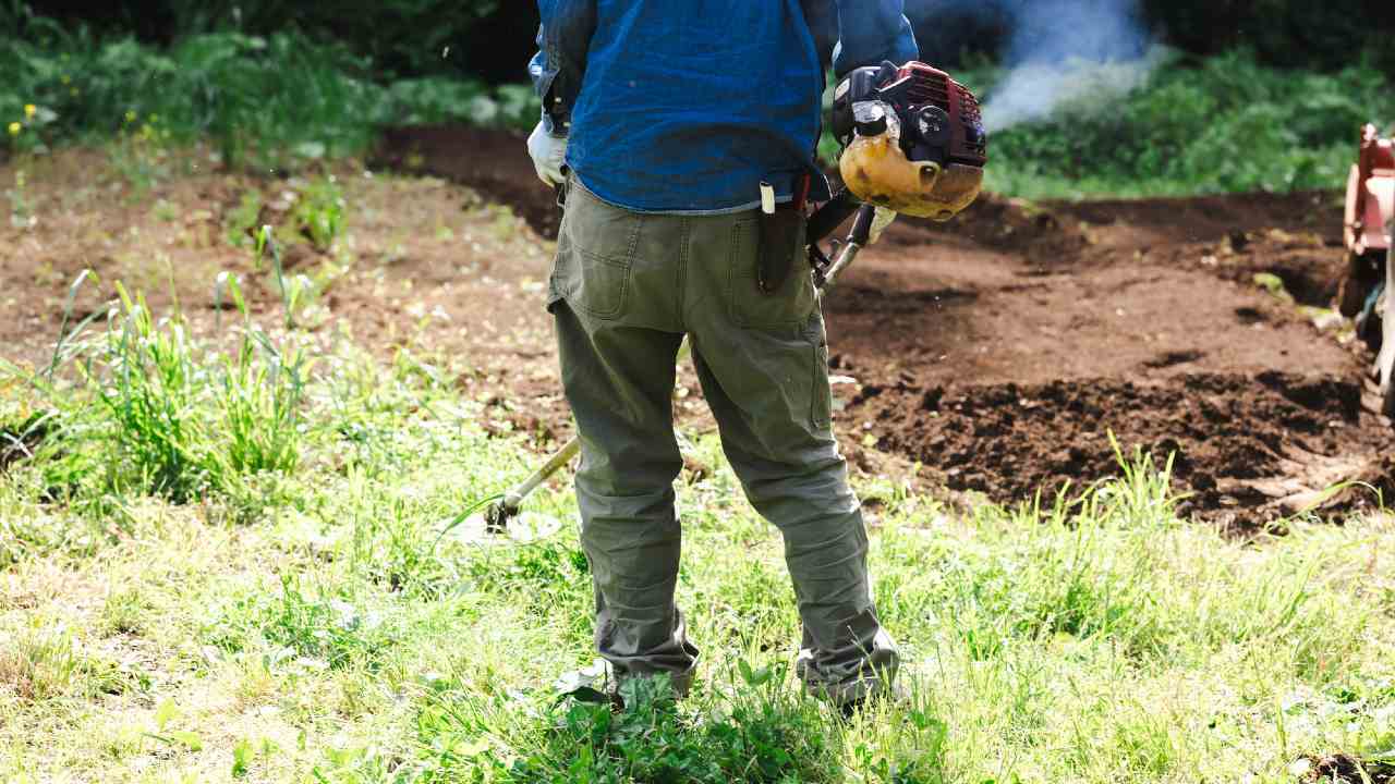 🏡 逃离城市，却被孤独围困！田园梦碎？