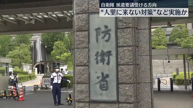 🚨熊来了！自卫队真要出动？秋田县急了！
