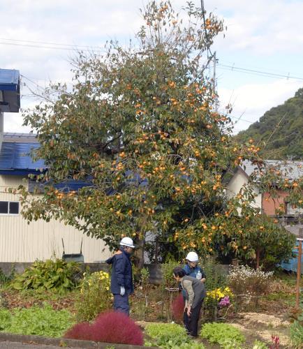 🐻家门口蹲了4天!熊来了,我们真无助…