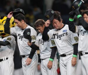 🔥绝望逆转！阪神：输了比赛，不输信念！ 封面