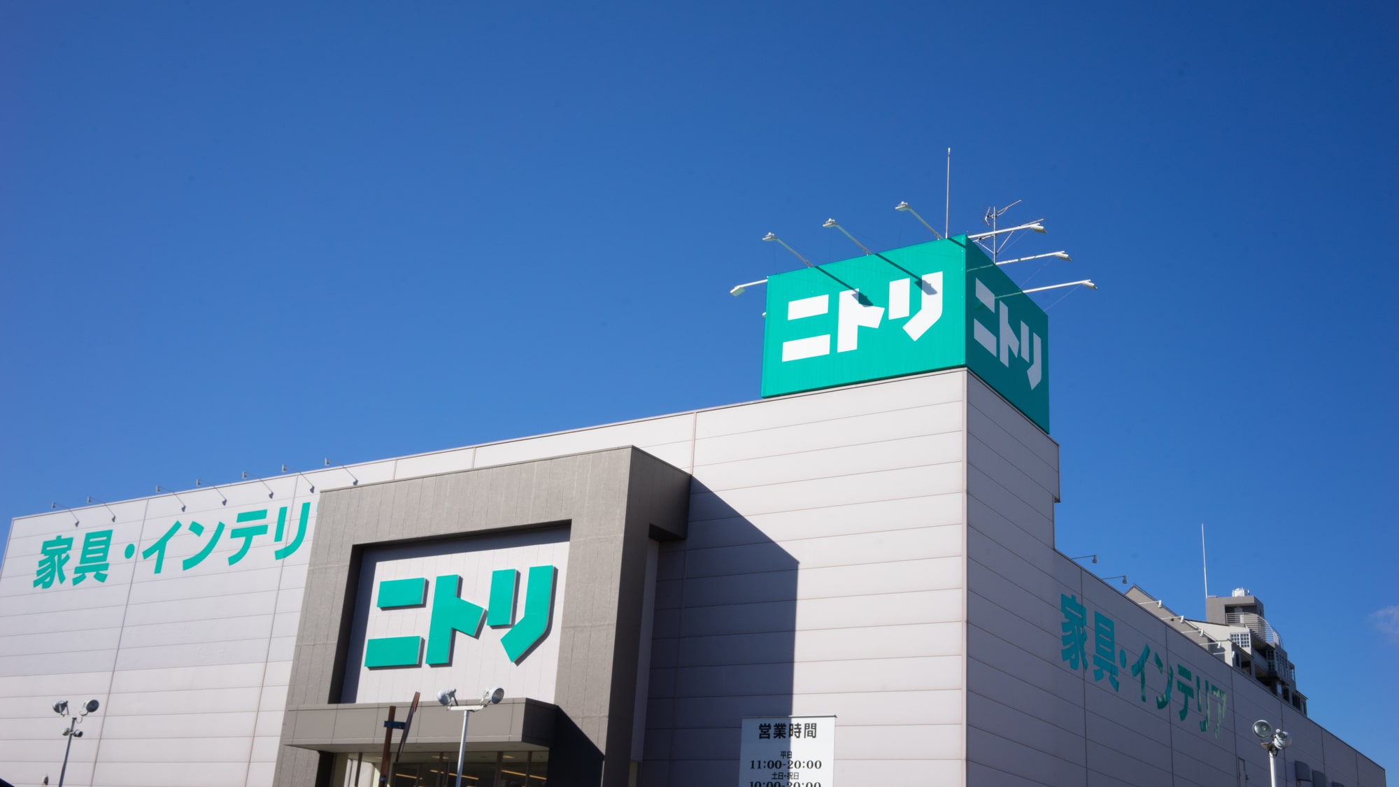 🛍️ 249円！我把全尺寸都买了！超好用的日式环保袋！