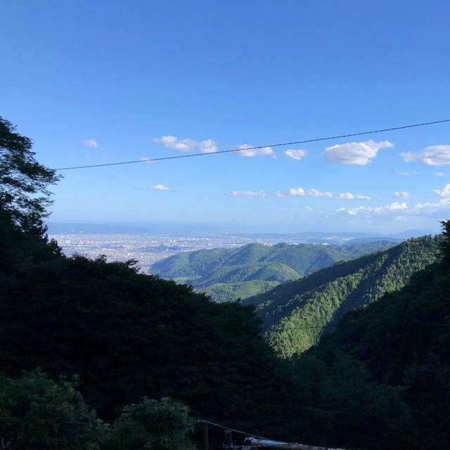 ⚠️京都寺庙急了!爱宕山游客、老人频遇险,竟是因为…