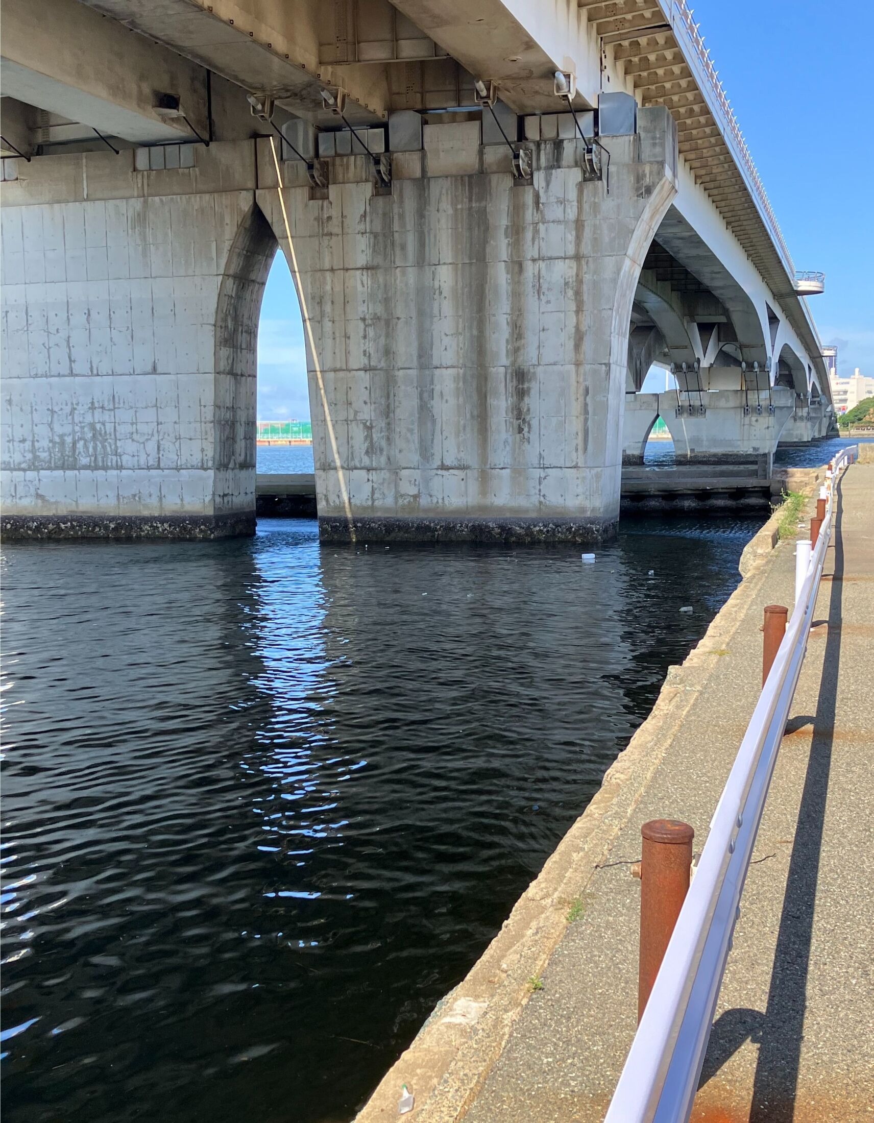 🚨血腥谜案：凶手竟是…！震惊！留学生背后真相大揭秘！