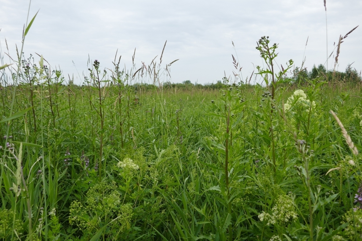 💥老家空置地,税费暴涨6倍!不处理年花90万?!