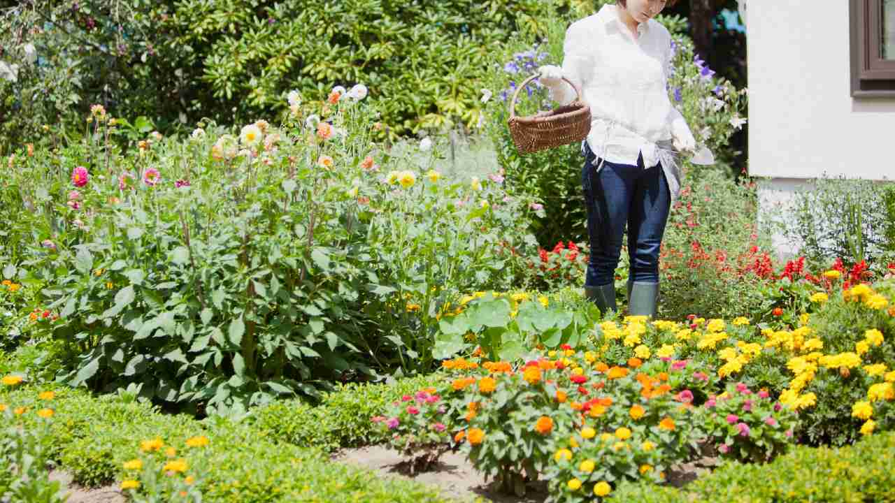 🏠告别东京,480万年薪也能拥有一栋带院子的家!