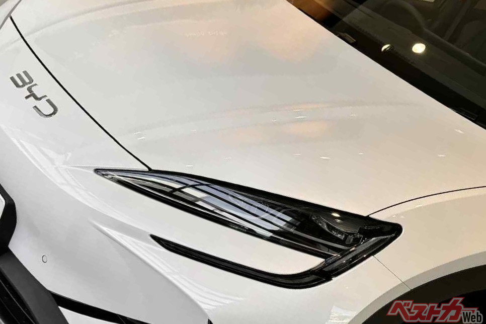 💥啥?网红买比亚迪海狮7?“你买啊!”…我真买了!