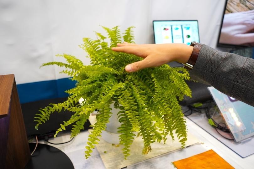 🌿树叶也能“说话”了！点一下，啥都能变屏幕！