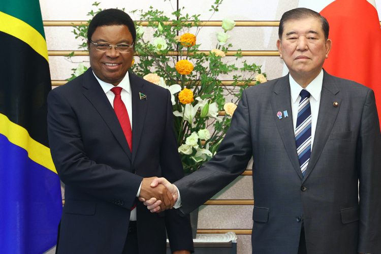 错误：无法解析 Gemini API 响应。